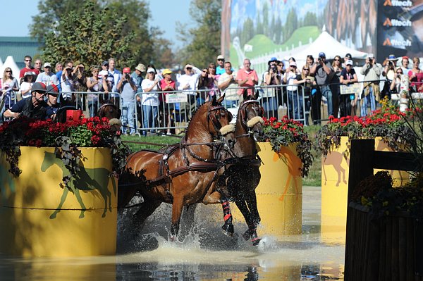 WEG4-10-9-10-DR-Marathon-0394-ChesterWeber-DDeRosaPhoto.jpg
