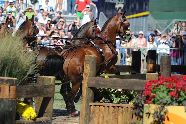 WEG4-10-9-10-DR-Marathon-0406-ChesterWeber-DDeRosaPhoto.jpg