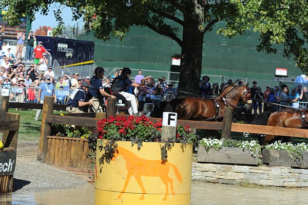 WEG4-10-9-10-DR-Marathon-0412-ChesterWeber-DDeRosaPhoto.jpg
