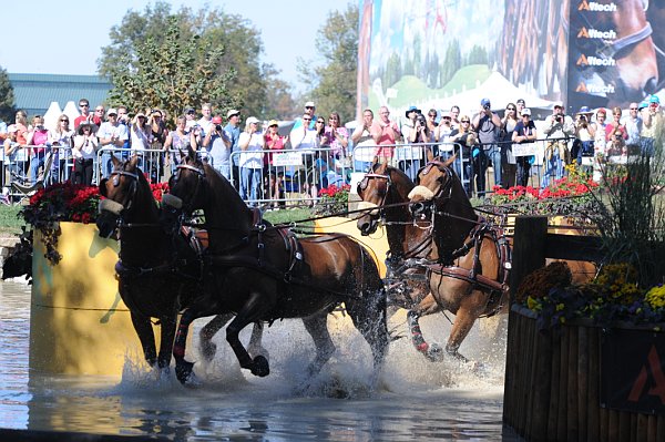 WEG4-10-9-10-DR-Marathon-0475-ChesterWeber-DDeRosaPhoto.jpg