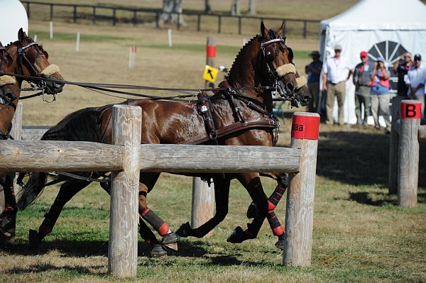 WEG4-10-9-10-DR-Marathon-0622-ChesterWeber-DDeRosaPhoto.jpg