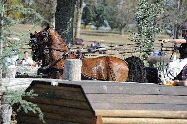 WEG4-10-9-10-DR-Marathon-0639-ChesterWeber-DDeRosaPhoto.jpg