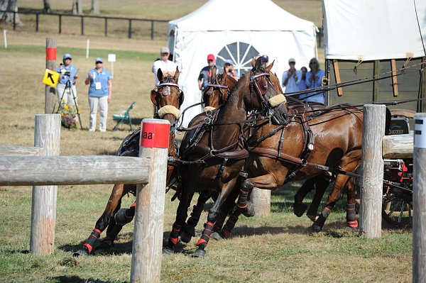 WEG4-10-9-10-DR-Marathon-0676-ChesterWeber-DDeRosaPhoto.jpg