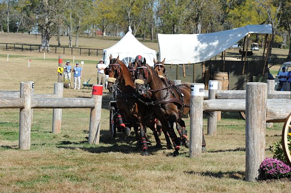 WEG4-10-9-10-DR-Marathon-0683-ChesterWeber-DDeRosaPhoto.jpg