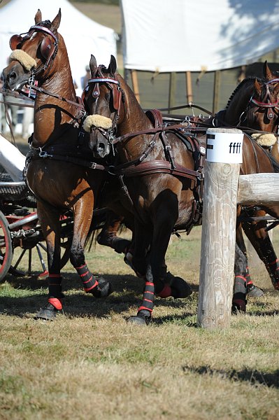 WEG4-10-9-10-DR-Marathon-0704-ChesterWeber-DDeRosaPhoto.jpg