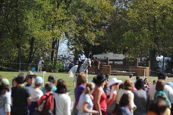WEG2-10-2-10-EV-XX-5355-CourageousComet-RebeccaHolderosaPhoto.jpg