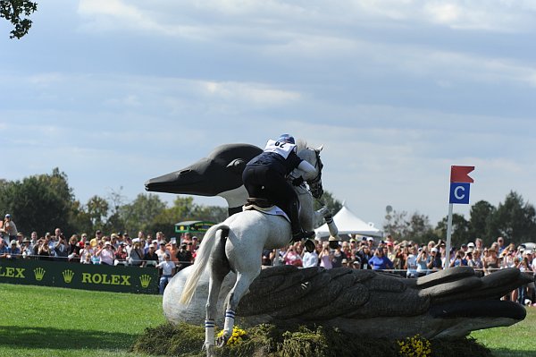 WEG2-10-2-10-EV-XX-5393-CourageousComet-RebeccaHolderosaPhoto.jpg