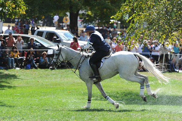 WEG2-10-2-10-EV-XX-5417-CourageousComet-RebeccaHolderosaPhoto.jpg