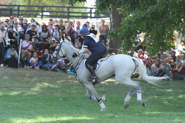 WEG2-10-2-10-EV-XX-5420-CourageousComet-RebeccaHolderosaPhoto.jpg