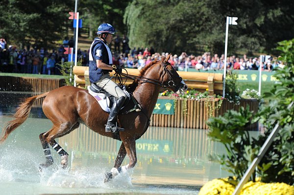 WEG2-10-2-10-EV-XX-3122-NevilleBardos-BoydMartin-DDeRosaPhoto.jpg