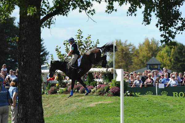 WEG2-10-2-10-EV-XX-5143-KarenOConnor-Mandiba-DDeRosaPhoto.jpg