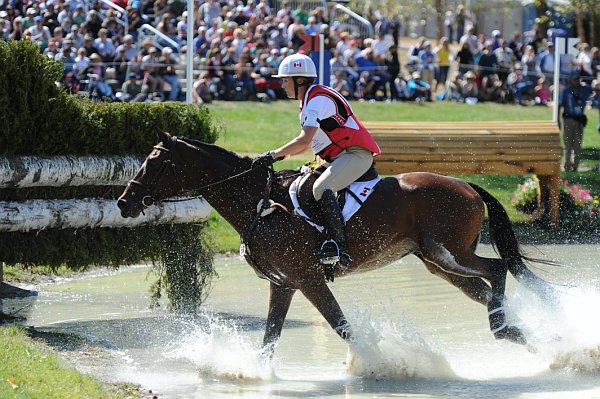 WEG2-10-2-10-EV-XX-4504-RiddleMaster-RebeccaHoward-DDeRosaPhoto.jpg