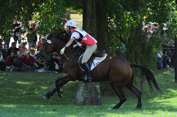 WEG2-10-2-10-EV-XX-5269-PortAuthority-StephanieRhodes-Bosch-DDeRosaPhoto.jpg