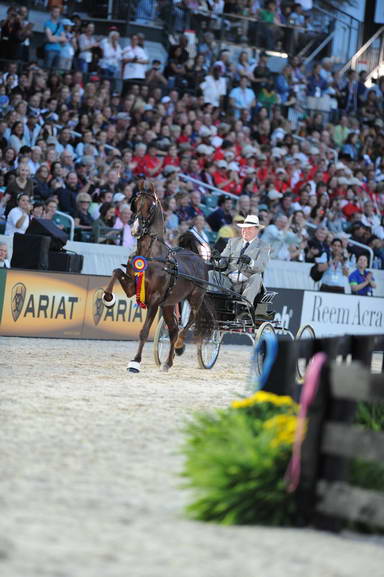 WEG1-9-25-10-DSC_2431-DDeRosaPhoto.JPG