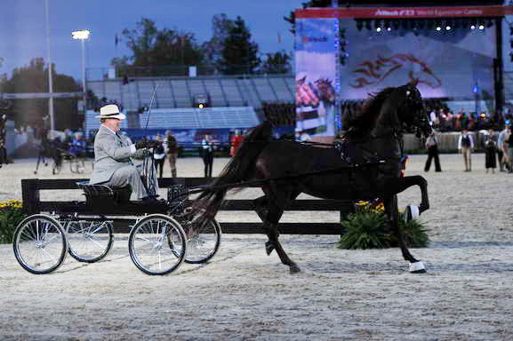 WEG1-9-25-10-Opening-WEG_1506-DDeRosaPhoto.JPG