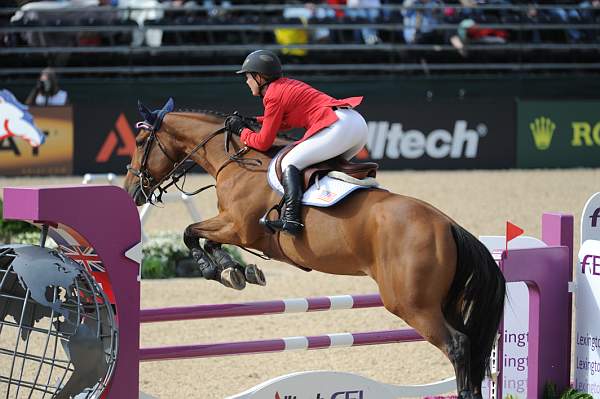 WEG2-10-4-10-SJ-8157-LaurenHough-QuickStudy-DDeRosaPhoto.jpg