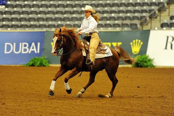 WEG1-9-25-10-RNG-DSC_1423-DDeRosaPhoto.JPG
