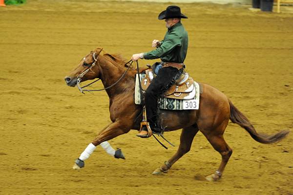 WEG1-9-25-10-RNG-WEG_1007-DDeRosaPhoto.JPG