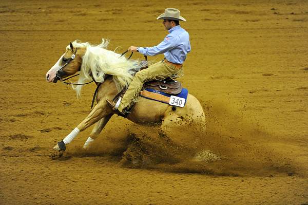 WEG1-9-25-10-RNG-WEG_1048-DDeRosaPhoto.JPG