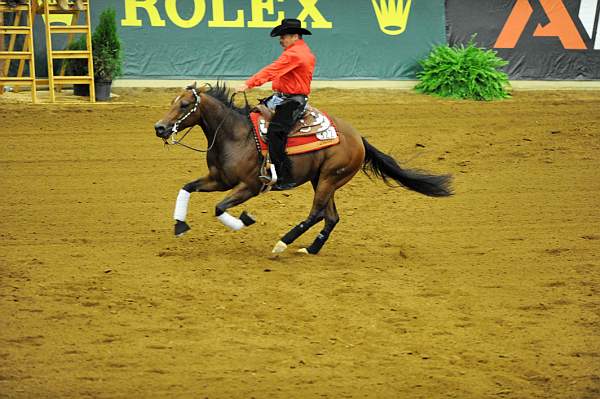 WEG1-9-25-10-RNG-WEG_1181-DDeRosaPhoto.JPG