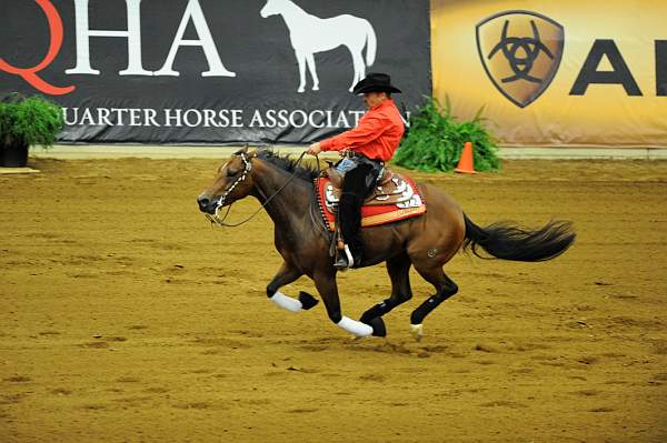 WEG1-9-25-10-RNG-WEG_1182-DDeRosaPhoto.JPG