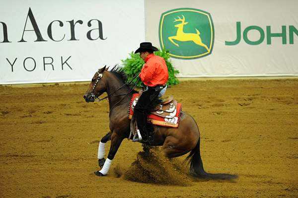 WEG1-9-25-10-RNG-WEG_1201-DDeRosaPhoto.JPG