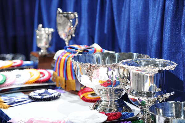 WIHS2-10-27-10-0134-DDeRosaPhoto.JPG
