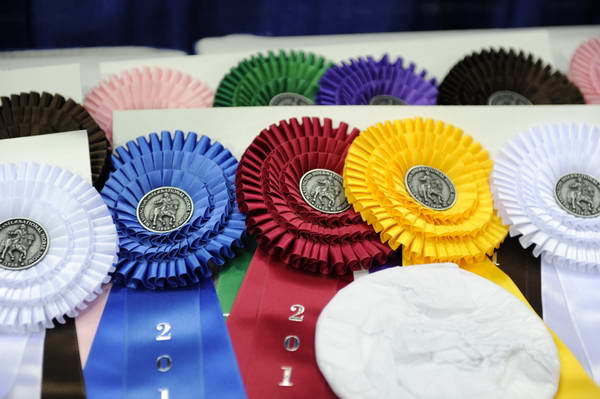 WIHS2-10-28-10-2358-DDeRosaPhoto.JPG