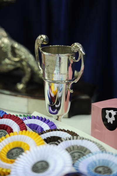 WIHS2-10-30-10-WIHSPnyEqFinals-7541-DDeRosaPhoto.JPG