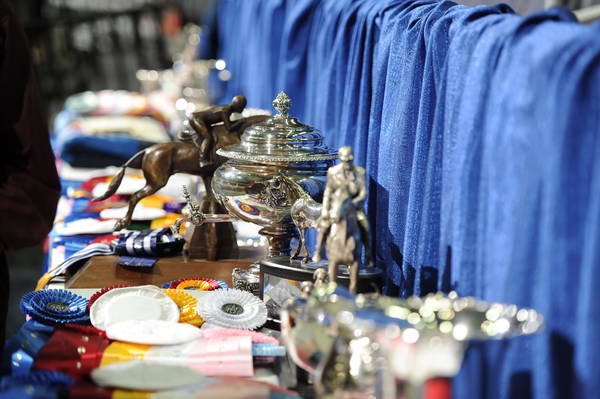 WIHS2-2010-DSC_7798-DDeRosaPhoto.JPG