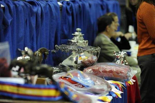 WIHS3-10-31-10-9231-DDeRosaPhoto.JPG