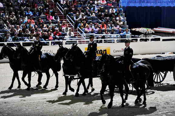 WIHS2-10-30-10-8516-DDeRosaPhoto.JPG