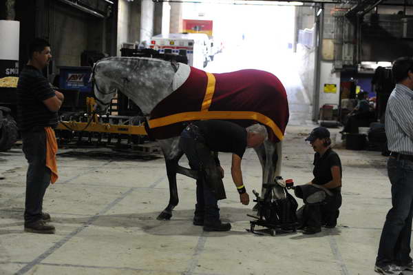 WIHS2-2010-WEG_0481-DDeRosaPhoto.JPG