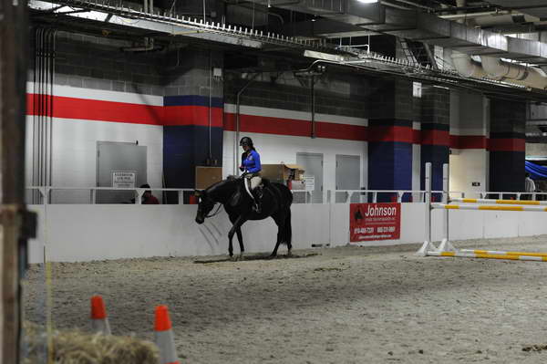 WIHS2-2010-WEG_0664-DDeRosaPhoto.JPG