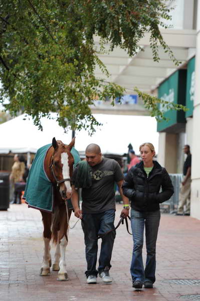 WIHS2-2010-WEG_0629-DDeRosaPhoto.JPG