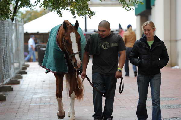 WIHS2-2010-WEG_0632-DDeRosaPhoto.JPG