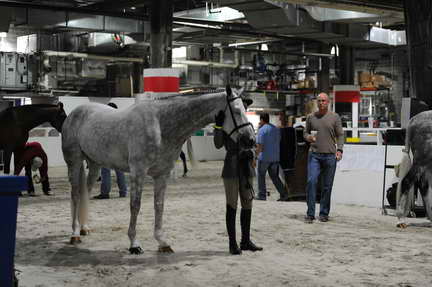 WIHS1-10-26-10- 7365-DDeRosaPhoto.JPG