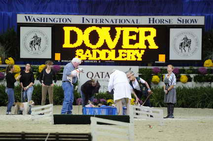 WIHS2-10-28-10-4592-DDeRosaPhoto.JPG