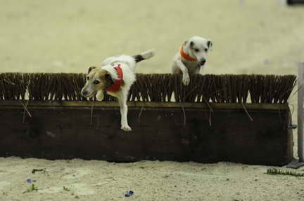 WIHS2-10-28-10-4629-DDeRosaPhoto.JPG