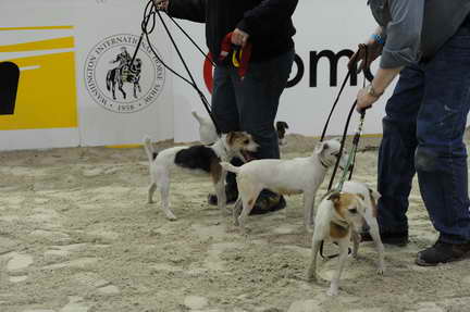 WIHS2-10-28-10-4638-DDeRosaPhoto.JPG