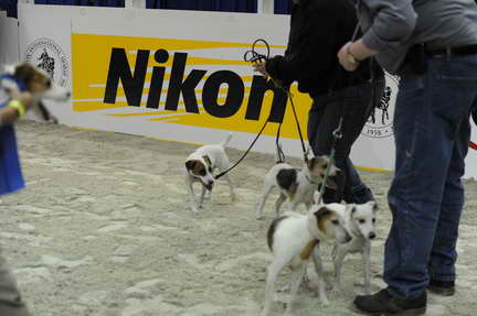 WIHS2-10-28-10-4640-DDeRosaPhoto.JPG