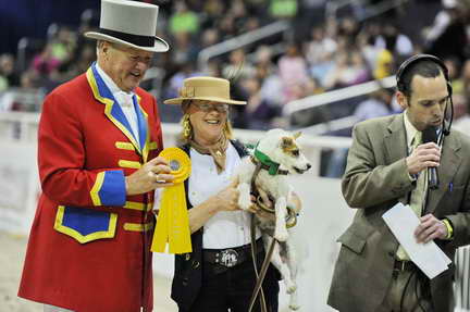 WIHS2-10-28-10-4643-DDeRosaPhoto.JPG