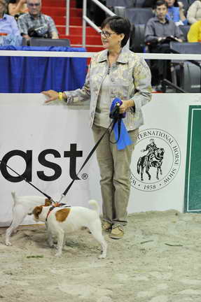 WIHS2-10-28-10-4648-DDeRosaPhoto.JPG