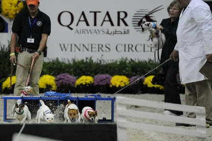 WIHS2-10-30-10-8607-DDeRosaPhoto.JPG