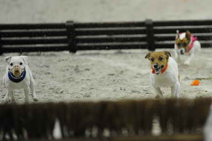 WIHS2-10-30-10-8615-DDeRosaPhoto.JPG