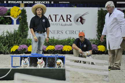 WIHS2-10-30-10-8620-DDeRosaPhoto.JPG