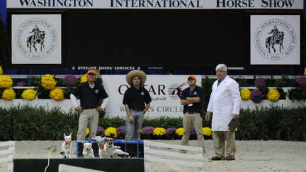 WIHS2-10-30-10-8629-DDeRosaPhoto.JPG