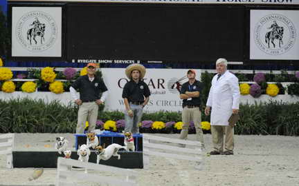 WIHS2-10-30-10-8631-DDeRosaPhoto.JPG