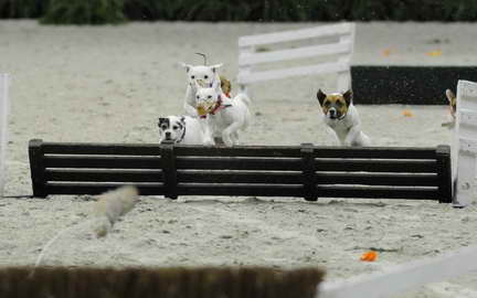 WIHS2-10-30-10-8636-DDeRosaPhoto.JPG