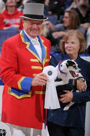 WIHS2-10-30-10-8654-DDeRosaPhoto.JPG